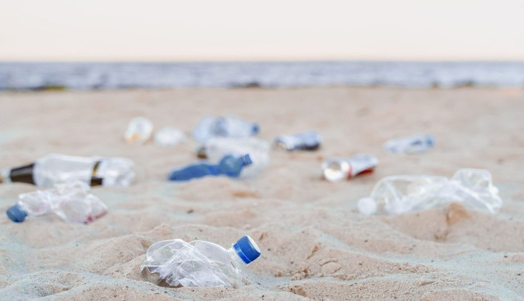 Queensland’s Plastic Pollution Reduction Plan and Engagement